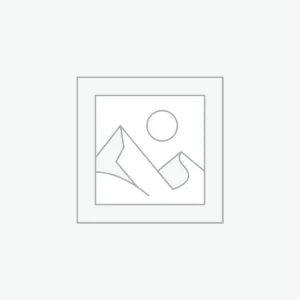 Transfection Applicaitons